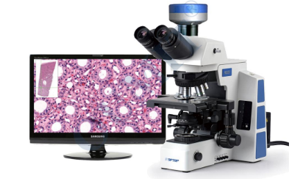 soptop舜宇RX50研究級(jí)生物顯微鏡
