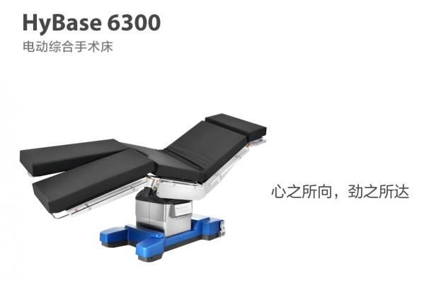 HyBase 6300